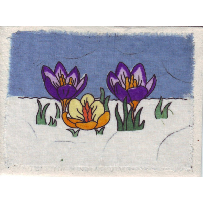 Grußkarte Krokus lila