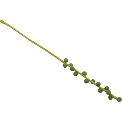 Weidenkätzchen, Khaki