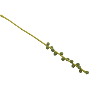 Weidenkätzchen, Khaki