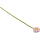 Daisy, Altrosa