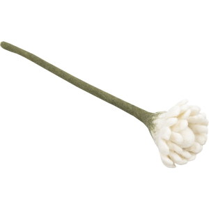 Blossom, Naturweiß