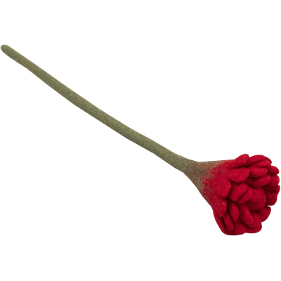 Blossom, Rot