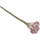 Blossom, helles Rosa