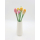 Tulpe